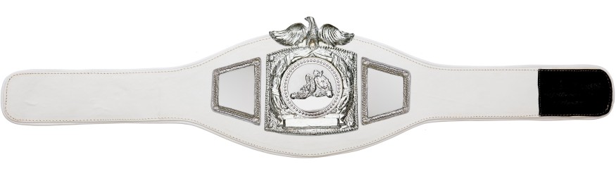 PROEAGLE JIU JITSU CHAMPIONSHIP BELT - PROEAGLE/S/JJS - AVAILABLE IN 6+ COLOURS PROEAGLE JIU JITSU CHAMPIONSHIP BELT - PROEAGLE/S/JJS - AVAILABLE IN 6+ COLOURS